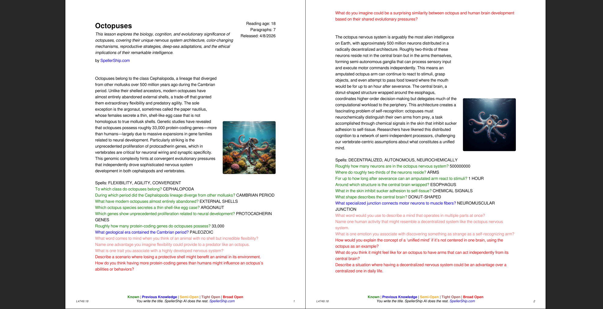 A PDF version of the octopuses lesson